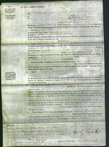 Court of Common Pleas - Sarah Jones-Original Ancestry