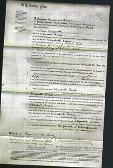 Court of Common Pleas - Elizabeth Ferris-Original Ancestry