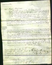 Court of Common Pleas - Betty Hodgson-Original Ancestry
