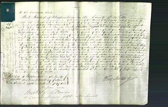 Court of Common Pleas - Mary Powney-Original Ancestry