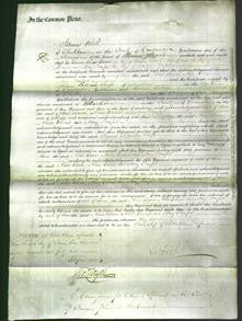 Court of Common Pleas - Alice Baron, Alice Grime and Mary Pomfret-Original Ancestry