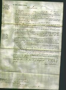 Court of Common Pleas - Sarah Sedgwick-Original Ancestry