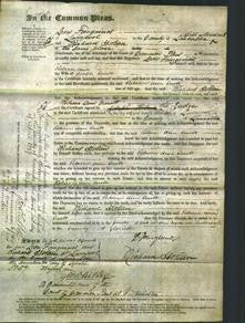 Court of Common Pleas - Rebecca Ann Emelt-Original Ancestry