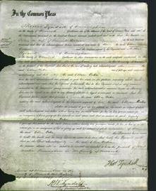 Court of Common Pleas - Ellen Orton-Original Ancestry