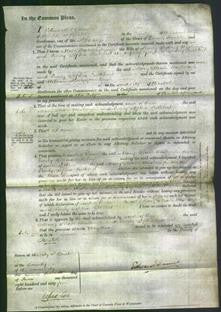 Court of Common Pleas - Mary Phoebe Wasbrough and Emily Sophia Cuthbert-Original Ancestry