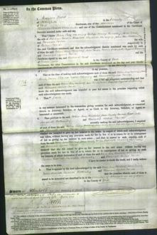 Court of Common Pleas - Helen Lucy Hinchliff, Jane Emily Turner, Charlotte Elizabeth Bottomley and Hannah Sophia Farrar-Original Ancestry