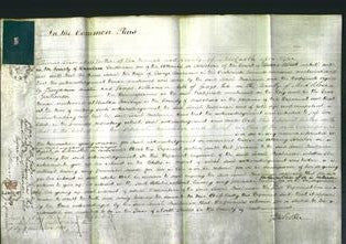 Court of Common Pleas - Sarah Buchanan-Original Ancestry