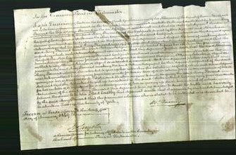 Court of Common Pleas - Mary Steward-Original Ancestry