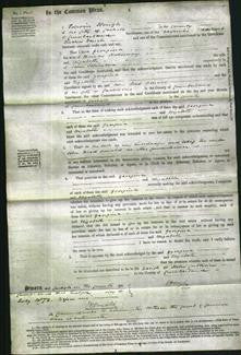 Court of Common Pleas - Georgina Holloway and Elizabeth Johnston-Original Ancestry