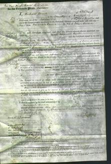 Court of Common Pleas - Hannah Owen