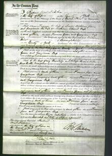 Court of Common Pleas - Frances Green and Georgiana Cass-Original Ancestry