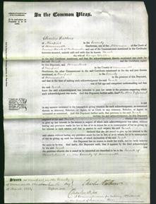 Court of Common Pleas - Sarah Wheller-Original Ancestry