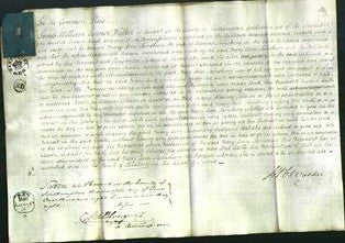 Court of Common Pleas - Mary Ann Sainsbury-Original Ancestry