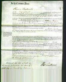 Court of Common Pleas - Sarah Jones-Original Ancestry