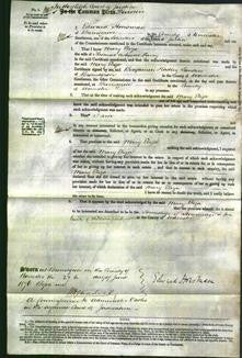 Court of Common Pleas - Mary Eliza Parry-Original Ancestry