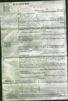 Court of Common Pleas - Anne Agnes Wright and Louisa Amelia Sanders-Original Ancestry