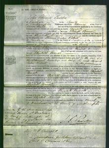 Court of Common Pleas - Elizabeth Burrell-Original Ancestry