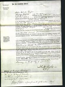 Court of Common Pleas - Charlotte Francis-Original Ancestry