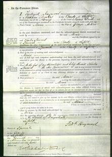 Court of Common Pleas - Maria Askew-Original Ancestry