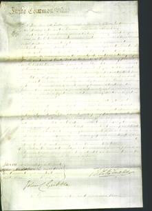 Court of Common Pleas - Dame Frances Juliana Davie-Original Ancestry