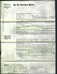 Court of Common Pleas - Mary Bravener-Original Ancestry