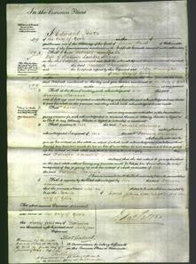 Court of Common Pleas - Frances Skinner-Original Ancestry