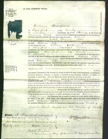 Court of Common Pleas - Rebecca Lake-Original Ancestry