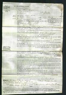 Court of Common Pleas - Ann Maria Steeds-Original Ancestry