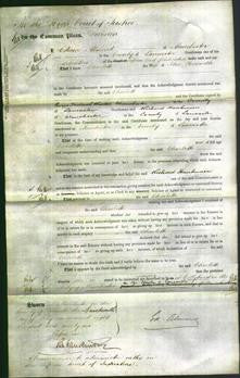 Court of Common Pleas - Charlotte Howarth-Original Ancestry