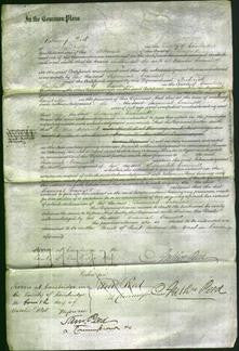 Court of Common Pleas - Susannah Cramwell-Original Ancestry