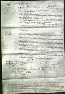 Court of Common Pleas - Sarah Emma Mosel-Original Ancestry