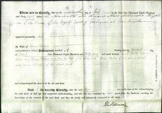 Deed by Married Women - Ann Phillips-Original Ancestry