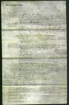 Court of Common Pleas - Henrietta Euphemia Tindal-Original Ancestry