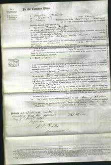 Court of Common Pleas - Fanny Naylor-Original Ancestry