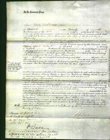 Court of Common Pleas - Ann Alexander-Original Ancestry