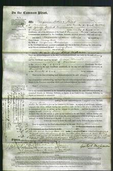 Court of Common Pleas - Mary Ann Hinchliffe-Original Ancestry