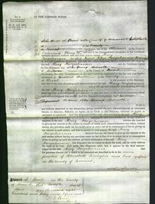 Court of Common Pleas - Mary Farquharson-Original Ancestry