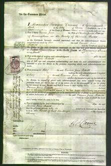 Court of Common Pleas - Emma Jane Pettitt-Original Ancestry