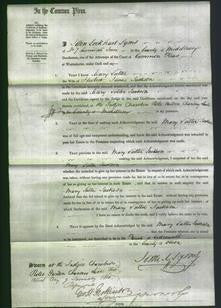 Court of Common Pleas - Mary Salter Jackson-Original Ancestry