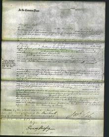 Court of Common Pleas - Elizabeth Greatviex-Original Ancestry