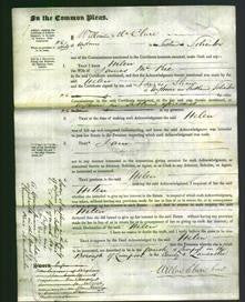 Court of Common Pleas - Helen McNie-Original Ancestry
