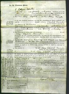 Court of Common Pleas - Mary Elizabeth Pennington-Original Ancestry
