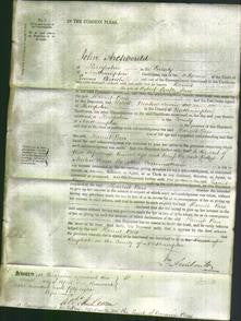 Court of Common Pleas - Harriet Pars-Original Ancestry