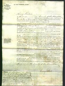 Court of Common Pleas - Jane Tribute-Original Ancestry