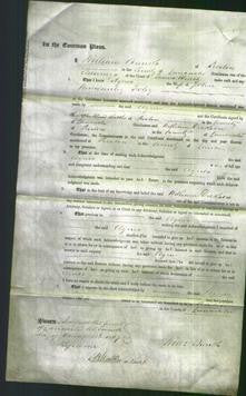 Court of Common Pleas - Agnes Foley-Original Ancestry