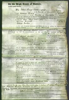 Court of Common Pleas - Hannah Oulton-Original Ancestry