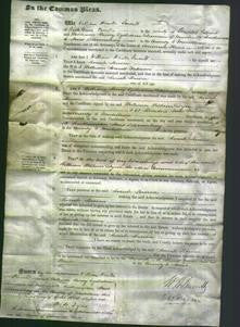 Court of Common Pleas - Sarah Louisa Paterson-Original Ancestry