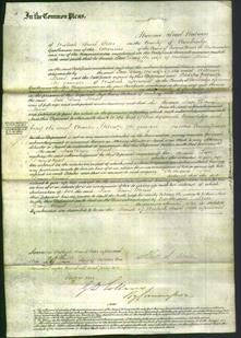 Court of Common Pleas - Tara Davy Theed-Original Ancestry