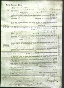 Court of Common Pleas - Elizabeth Pearson-Original Ancestry