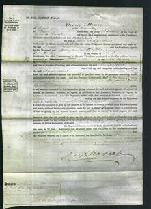 Court of Common Pleas document- Sarah Hunt-Original Ancestry